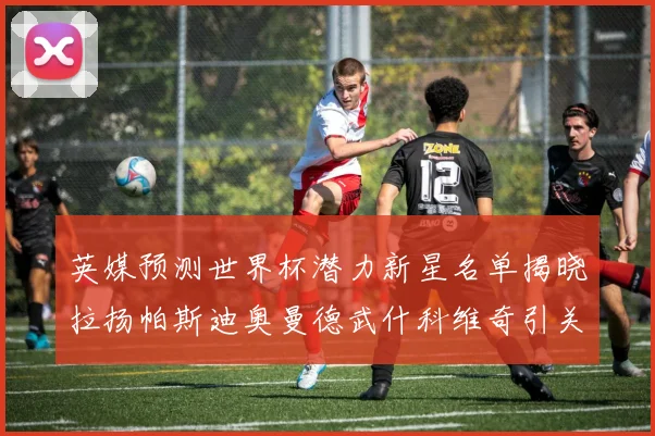 英媒预测世界杯潜力新星名单揭晓拉扬帕斯迪奥曼德武什科维奇引关注
