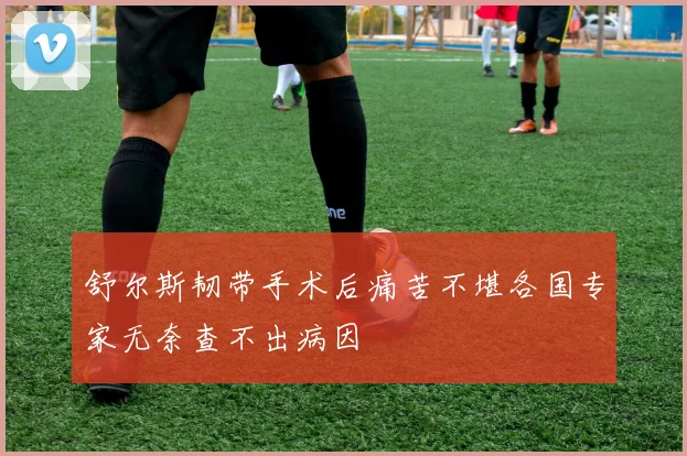 舒尔斯韧带手术后痛苦不堪各国专家无奈查不出病因