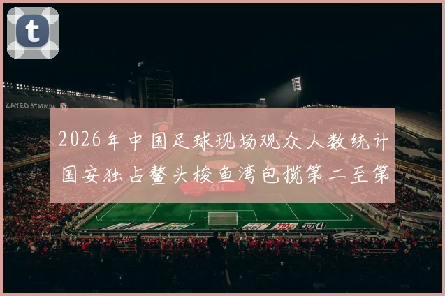 2026年中国足球现场观众人数统计国安独占鳌头梭鱼湾包揽第二至第七位