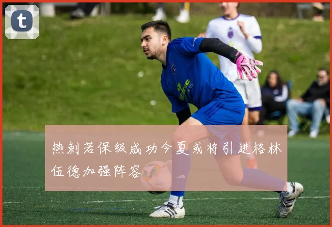 热刺若保级成功今夏或将引进格林伍德加强阵容