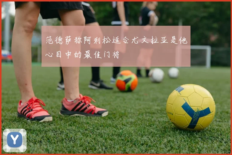 范德萨称阿利松适合尤文拉亚是他心目中的最佳门将